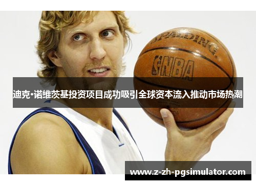 迪克·诺维茨基投资项目成功吸引全球资本流入推动市场热潮