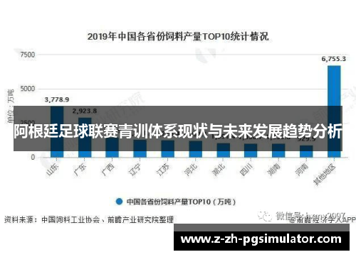 阿根廷足球联赛青训体系现状与未来发展趋势分析 阿根廷足球联赛青训体系现状与未来发展趋势分析