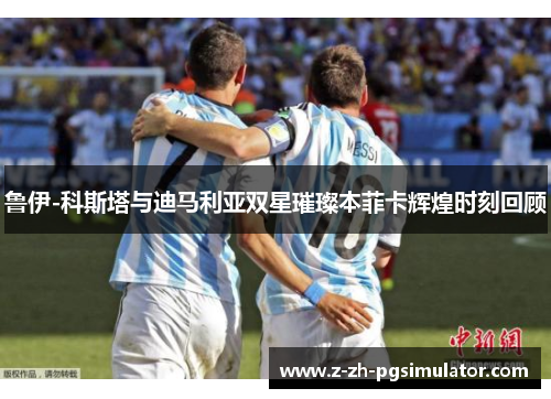 鲁伊-科斯塔与迪马利亚双星璀璨本菲卡辉煌时刻回顾